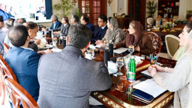 مريم نواز: تنفيذ مشروعات تنموية بمليارات الروبيات وتحسين الخدمات ضمن برنامج تنمية البنجاب