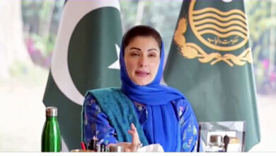 مريم نواز تشيد بنجاح مهرجان باسانت السلمي في لاهور وتؤكد وحدة الشعب البنجابي