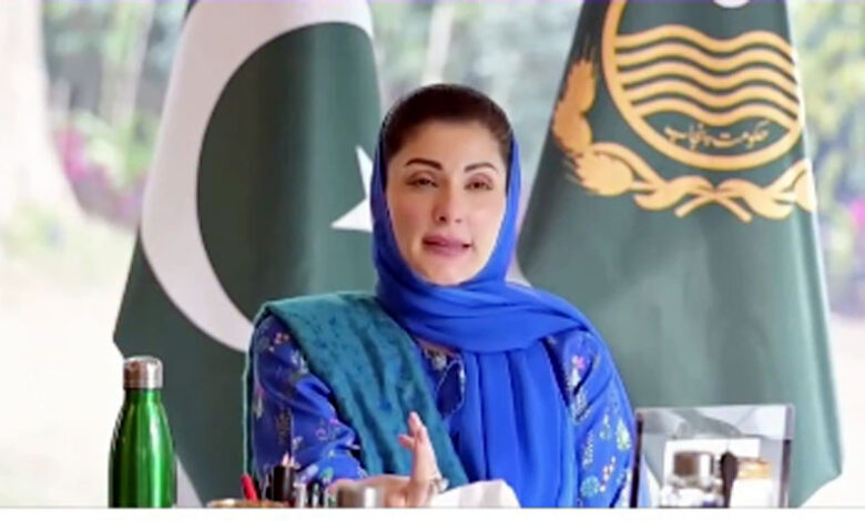 مريم نواز تشيد بنجاح مهرجان باسانت السلمي في لاهور وتؤكد وحدة الشعب البنجابي