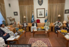 رئيس وزراء البنجاب يعرض التعاون الكامل من أجل التنمية في بلوشستان